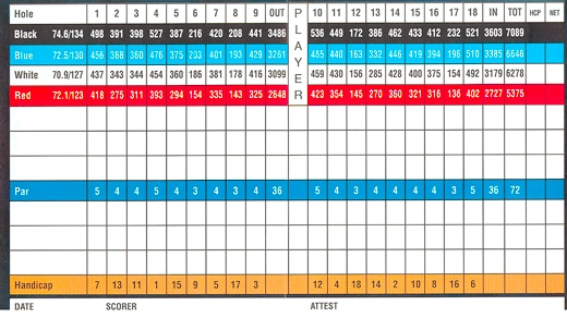 A generic scorecard, please change this.