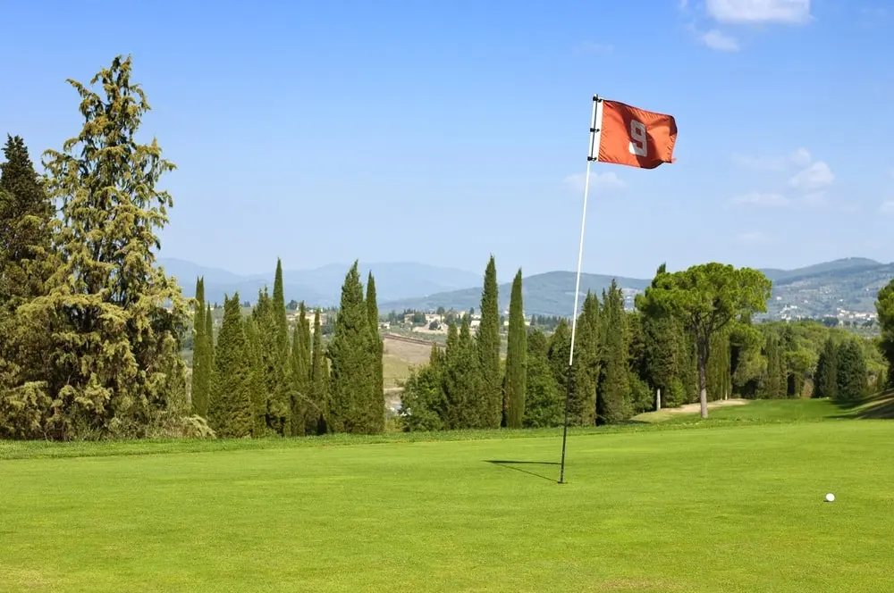 Orange flag for hole 9.